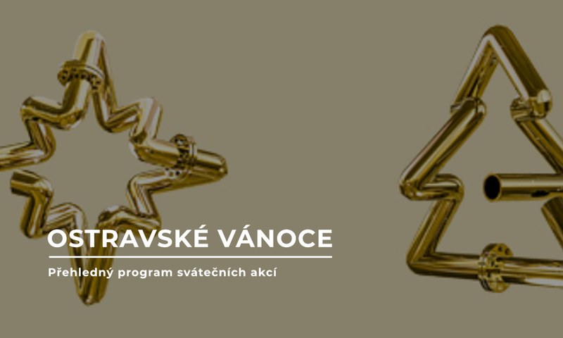 trvalka-sm-foto_vanoce-24