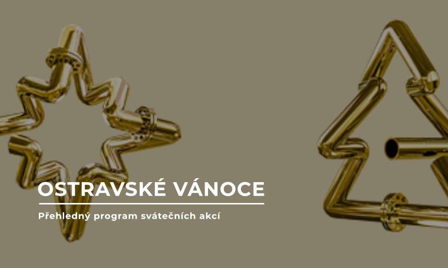 trvalka-sm-foto_vanoce-24