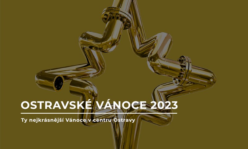 trvalka_vanoce-foto-sm