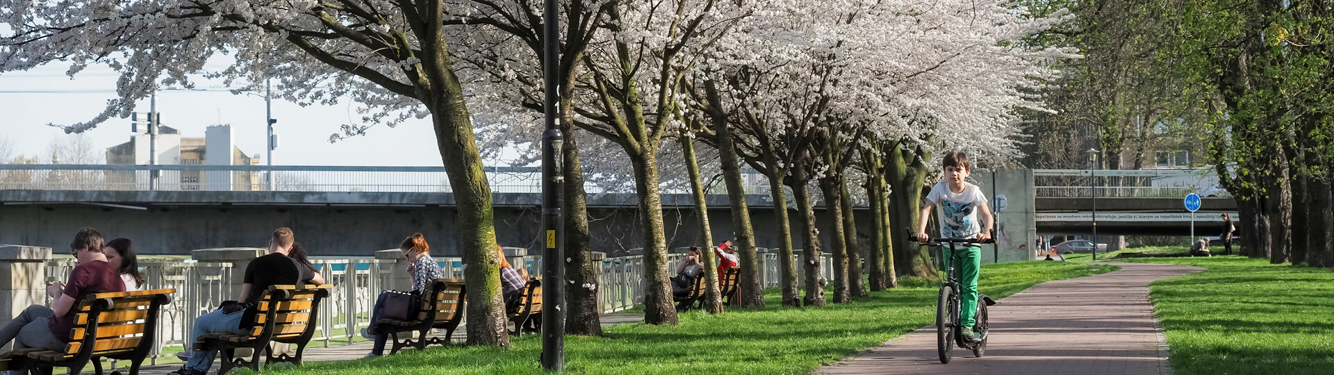 PF-slider-jaro-20-03