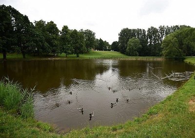 Pustkovecký rybník. Foto: archiv MMO