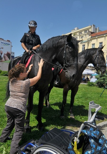 Příjemné setkání s koňmi městské policie