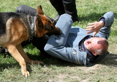 Ilustrační foto z předchozí akce u Akordu