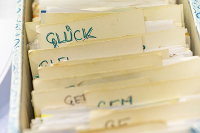 Malá část velkého bádání Libuše Salomonovičové. Foto: Martin Popelář
