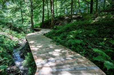 Jeden z již hotových chodníků Cesty vody. Foto: Adolf Horsinka