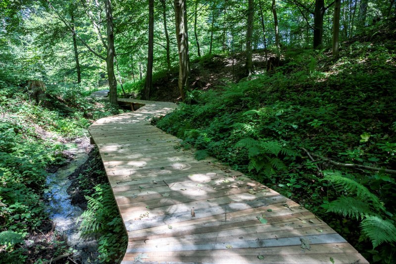 Cesta vody a park nad rybníkem zatraktivní část Bělského lesa Cesta vody a park nad rybníkem zatraktivní část Bělského lesa