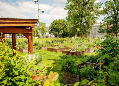 Podporu získal rovněž projekt komunitní zahrady v centru Ostravy. Foto: MMO