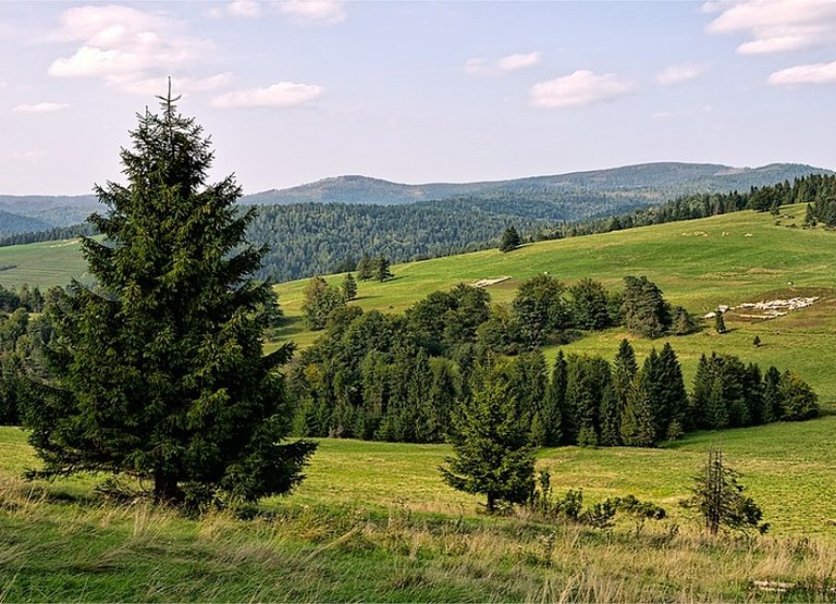 Děti z Ostravy jezdí díky fondu na pobyty za čistým vzduchem do Beskyd, na Vsetínsko a do Jeseníků. Ilustrační foto: Pixabay  Děti z Ostravy jezdí díky fondu na pobyty za čistým vzduchem do Beskyd, na Vsetínsko a do Jeseníků. Ilustrační foto: Pixabay