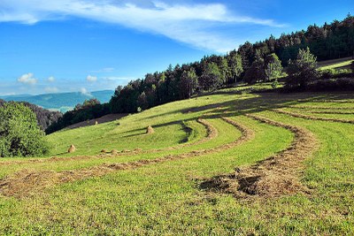 Děti nejčastěji míří na pobyty do Jeseníků a Beskyd. Foto: pixabay.com