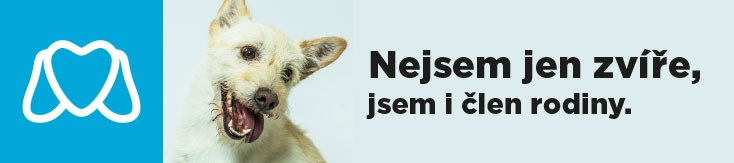 Webové stránky útulku