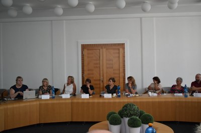 Kulatý stůl se zabýval podobou a výzvami současné ústavní výchovy. Foto: MMO