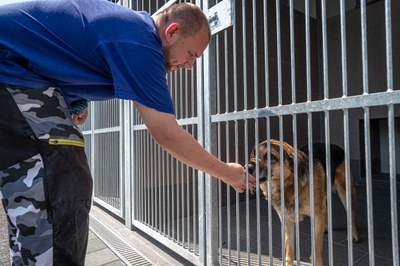 V třebovickém psím útulku. Foto: Lukáš Kaboň