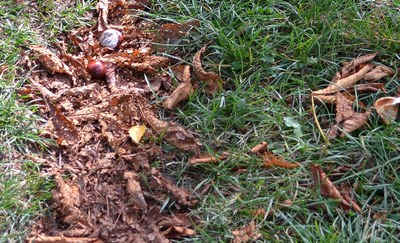 Ilustrační snímek: MMO