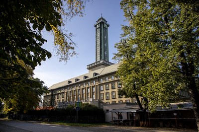 Ilustrační foto. Zdroj MMO.