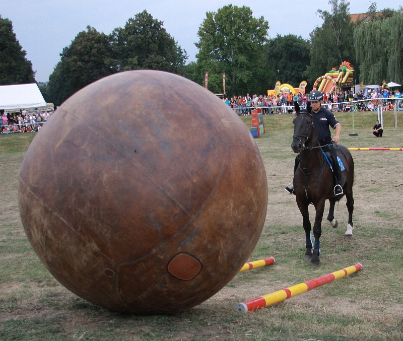 Ze soutěže jízdních policií