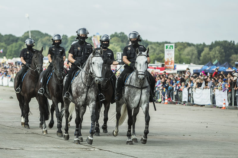 Jízdní jednotka Městské policie Ostrava v akci.