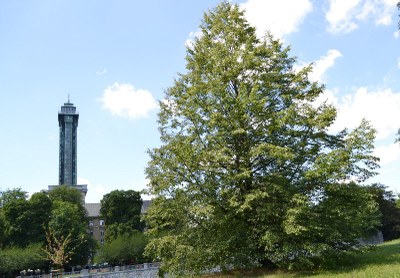 Ilustrační snímek: René Stejskal 