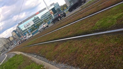 Kolejový absorbér mění barvu na podzimní odstíny. Foto: H. Oborilová