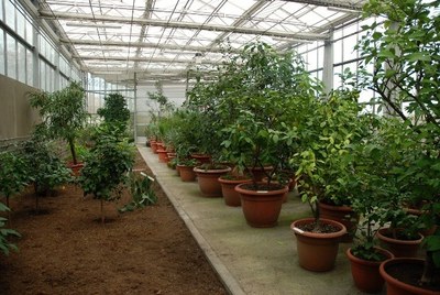 Foto: botanické skleníky v zoologické zahradě. Snímek: Pavel Vlček