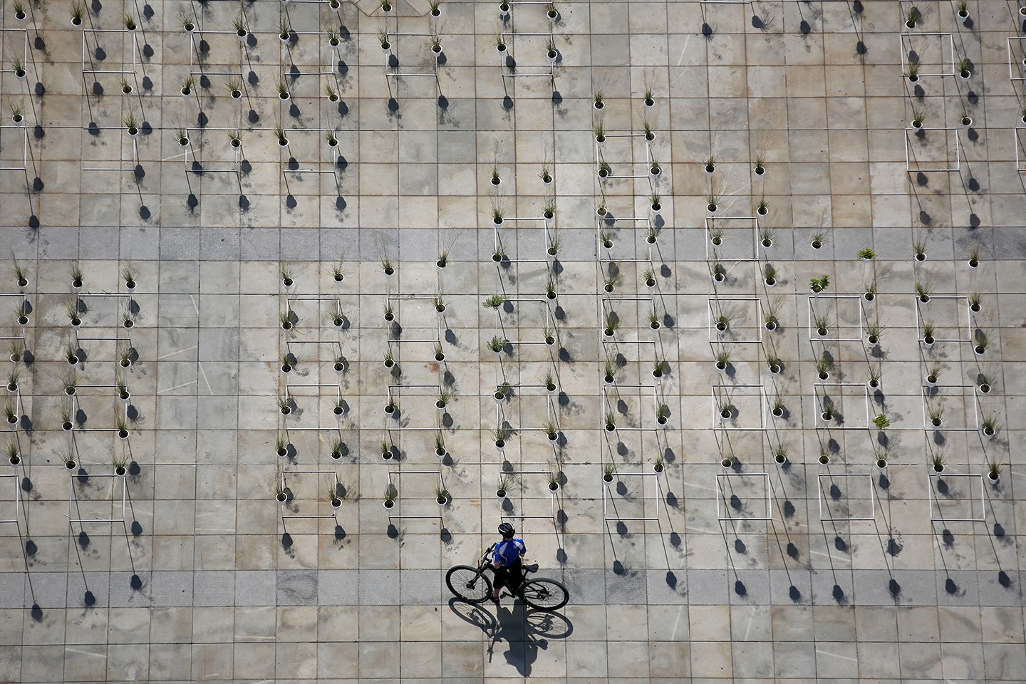 Stovky květináčů s travinami jsou rozmístěny po Prokešově náměstí před budovou radnice města.