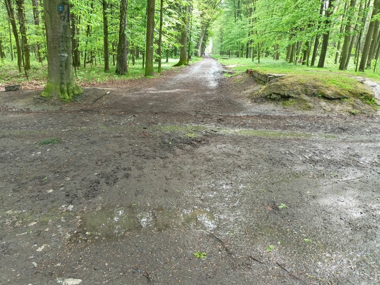 Lesní cesty ve Staré Bělé v oblasti Bělského lesa se dočkají obnovy