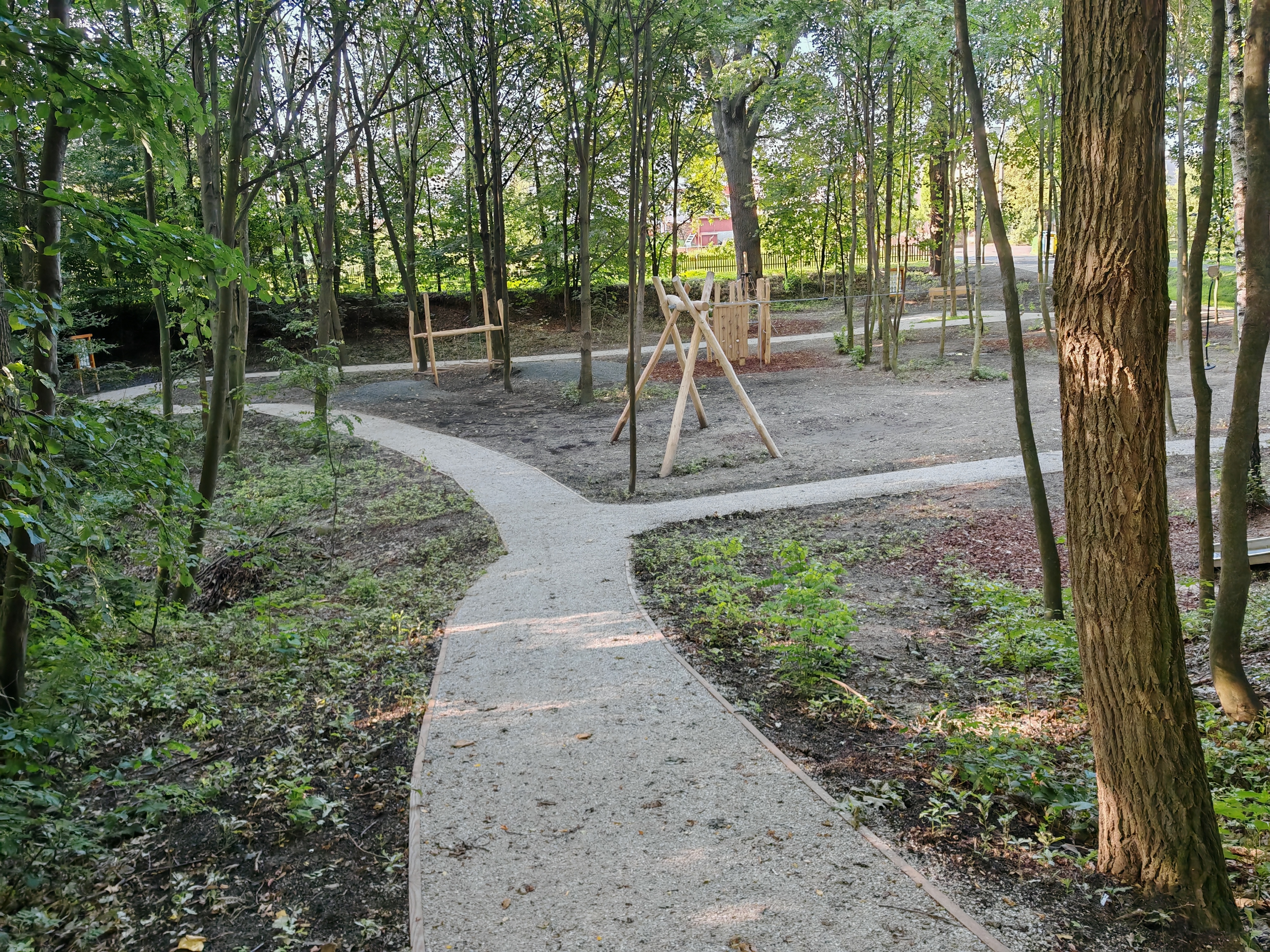 Lesním hřištěm prostupují úhledné pochozí chodníčky