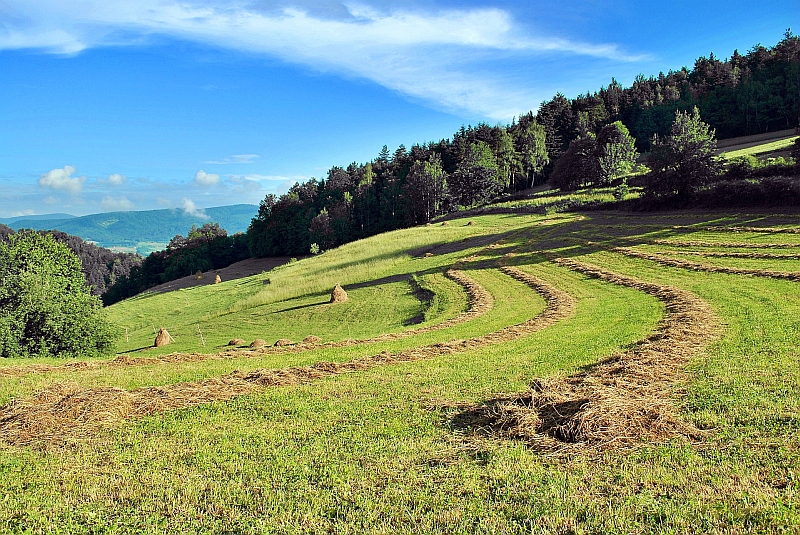 Ilustrační foto. Beskydy, zdroj Jerzy Gorecki/pixabay.com