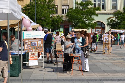 Horké počasí nebránilo velkému zájmu návštěvníků akce. Snímky: Petr Havránek