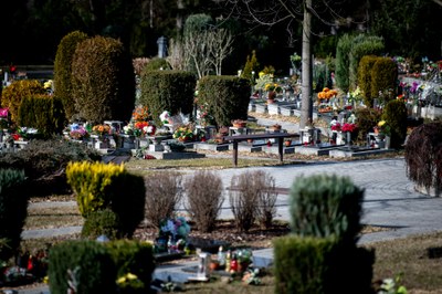 Hřbitov ve Slezské Ostravě. Foto: Lukáš Kaboň