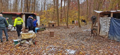 Lesní příbytek bezdomovců. Ilustrační foto. Autor: MMO