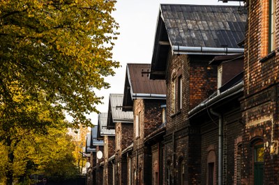 Štítová kolonie ve Vítkovicích. Foto: Jiří Zerzoň