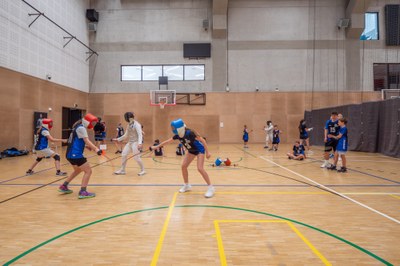 Ostravské sportovní hry. Foto: Antonín Krúpa