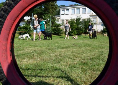 Třebovický útulek pořádá i některé oblíbené akce, letos v červnu se tu konalo například už XVII. setkání pěstounů útulkových psů. Foto: Útulek SMO