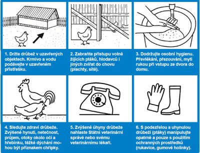 Graficky zpracované rady pro prevenci před nákazou chovů nemocemi typu ptačí chřipky. Zdroj: Státní veterinární správa České republiky