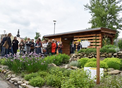 Komunitní zahrada je jedním z projektů, které podpořilo. Foto: Hana Oborilová