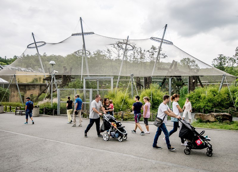Do zoo přiveze návštěvníky vlak Do zoo přiveze návštěvníky vlak