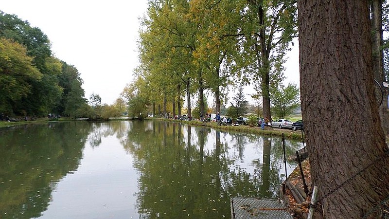 Novoveské rybníky po opravě ožijí Novoveské rybníky po opravě ožijí