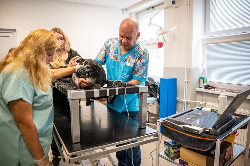 Moderní ultrazvuk je třebovickému útulku vítaným pomocníkem. Foto: Lukáš Kaboň