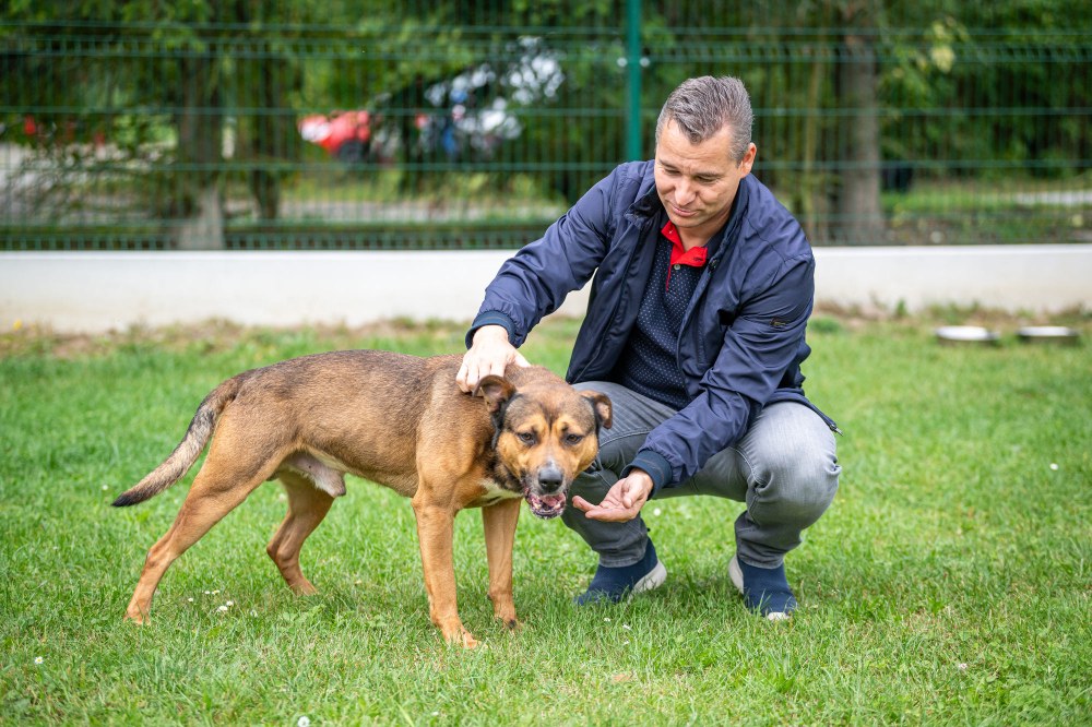 Za takřečenými útulkáčky dorazil také náměstek primátora Aleš Boháč Za takřečenými útulkáčky dorazil také náměstek primátora Aleš Boháč