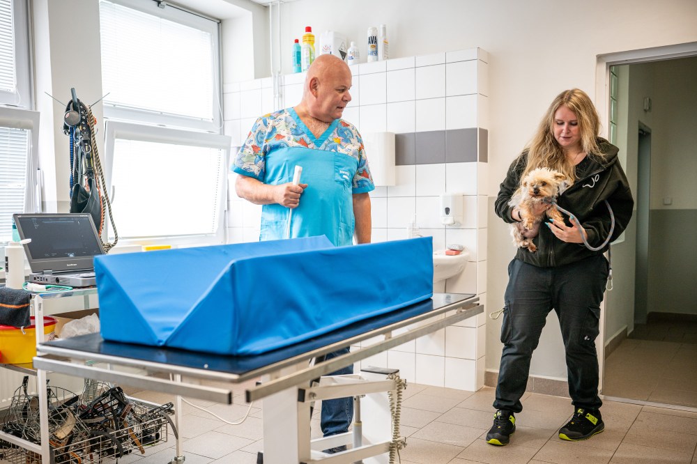Ultrazvukové vyšetření v třebovickém útulku Ultrazvukové vyšetření v třebovickém útulku