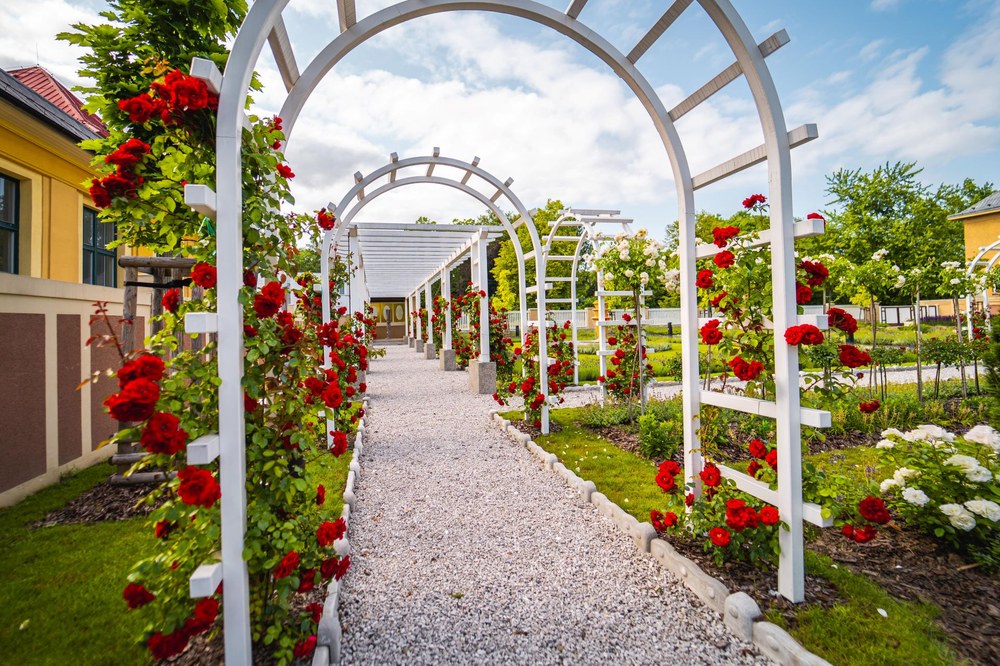 V zahradě Vily Grossmann. Foto: Jan Vlček