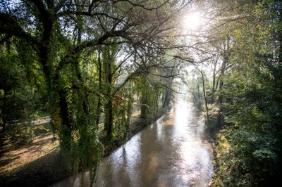 Ilustrační foto: Snímek Lukáš Kaboň.