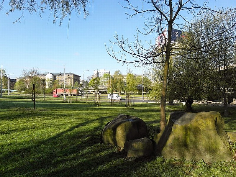 Ostrava je opět zelenější Ostrava je opět zelenější