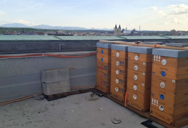 Ostrava má medové srdce Ostrava má medové srdce