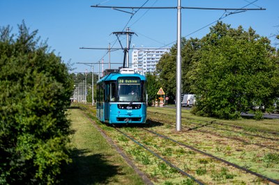 V Ostravě se úhledně zelenají také tramvajové tratě. Foto: Lukáš Kaboň