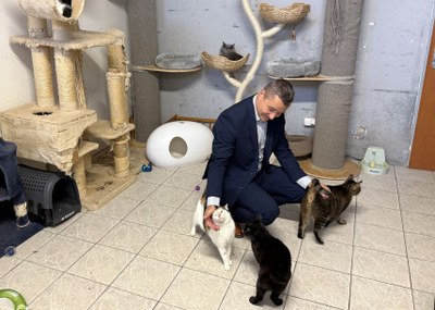 Kočičí obyvatele útulku navštívil také náměstek primátora Aleš Boháč. Foto: MMO