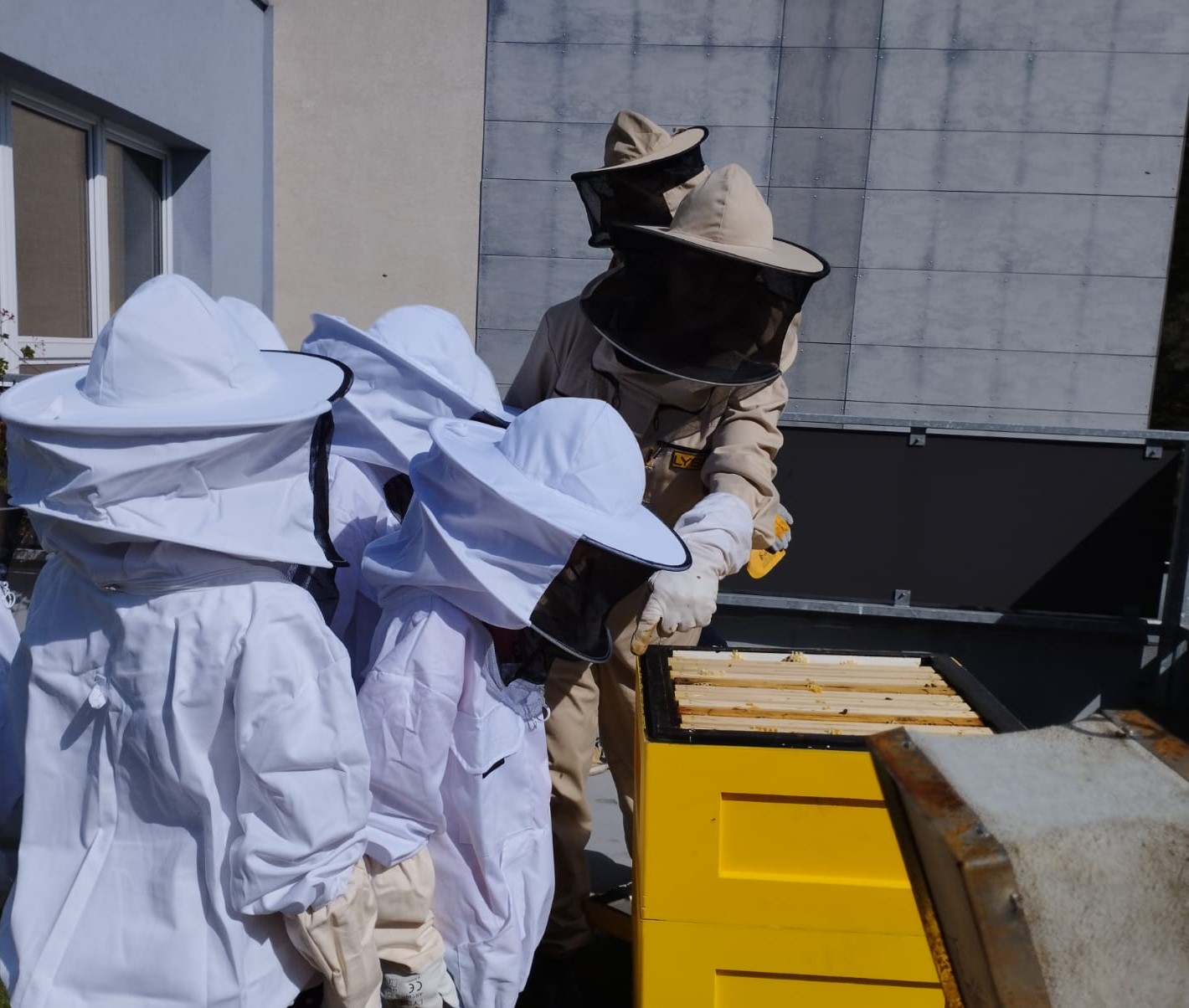 Včelařský kroužek na ZŠ Generála Píky. Foto: ZŠ Generála Píky Ostrava