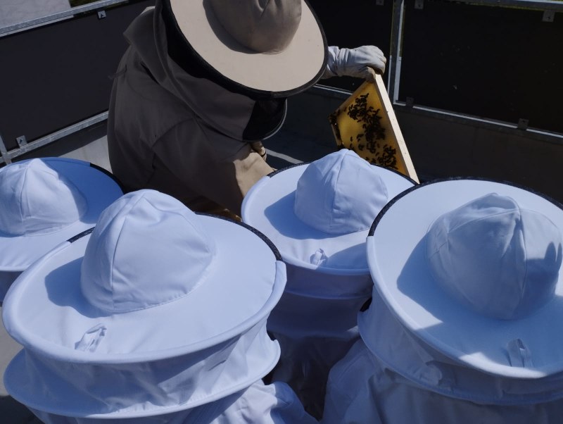 Včelařský projekt na ZŠ Generála Píky. Foto: ZŠ Generála Píky