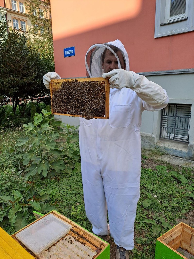 Včelstvům se věnují také na Matiční. Foto: ZŠ Matiční
