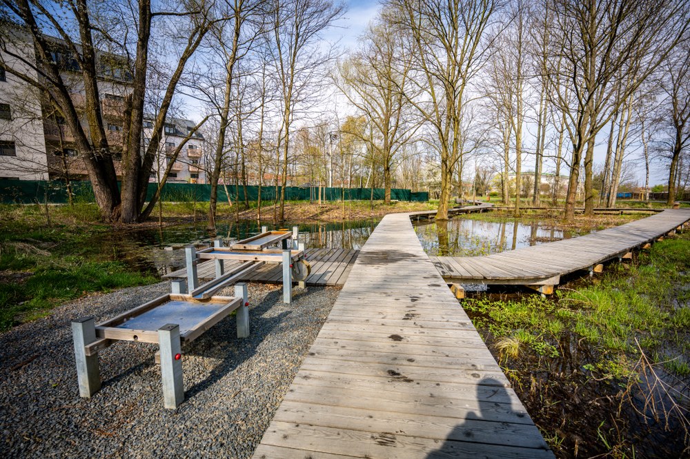 Dřevěné pěšiny mezi mokřady